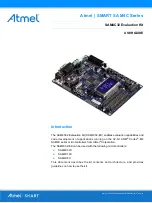 Предварительный просмотр 1 страницы Atmel SAM4C32-EK User Manual