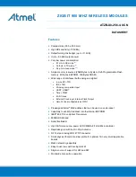 Atmel ZIGBIT ATZB-X0-256-4-0-CN Datasheet preview