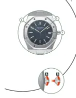 Preview for 2 page of Audemars Piguet 2120 Instructions For Use Manual