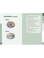 Preview for 8 page of Audemars Piguet 2120 Instructions For Use Manual