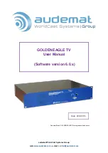 Предварительный просмотр 1 страницы audemat GOLDENEAGLE TV User Manual