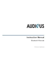 Audicus Bluetooth Remote Instruction Manual preview