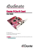 Audinate Dante User Manual preview
