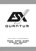 Audio Design ESX QUANTOM QXE42 Manual preview