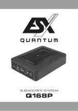 Preview for 1 page of Audio Design ESX QUANTUM Q168P Quick Start Manual