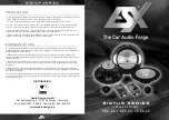 Audio Design ESX SIGNUM Series Manual preview