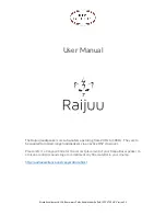 Audio Excellence Raijuu 1 User Manual preview