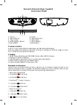 Audio Glow TM-003 Manual preview