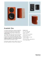 Audio Pro Avantek One Specifications предпросмотр