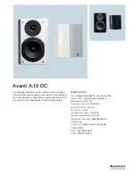 Audio Pro Avanti A.10 DC Specifications предпросмотр