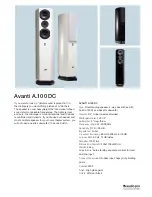 Audio Pro Avanti A.100 DC Specifications предпросмотр