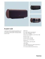 Audio Pro Avanti A.20 Specifications preview