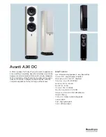 Audio Pro Avanti A.90 DC Specifications предпросмотр