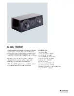 Audio Pro Black Vector V.2 Specifications предпросмотр