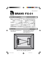 Предварительный просмотр 3 страницы Audio Pro Bravo FX-01 User Manual