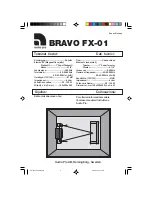 Предварительный просмотр 4 страницы Audio Pro Bravo FX-01 User Manual