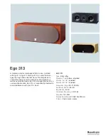 Audio Pro Ego 313 Specifications предпросмотр