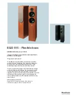 Audio Pro Ego 515 Features предпросмотр