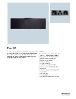 Audio Pro Evo Series Evo 20 Specifications предпросмотр