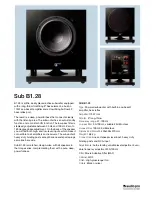 Audio Pro Image Series B1.28 Specifications preview