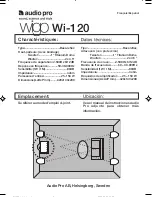 Предварительный просмотр 2 страницы Audio Pro wigo Wi-120 Technical Data