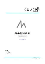 Audio Solutions FLAGSHIP M User Manual preview