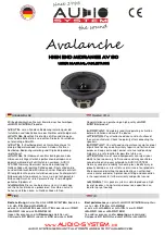 Audio System Avalanche High End Midrange AV 80 User Manual preview