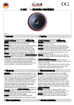 Audio System H 33 EVO User Manual preview