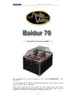 Предварительный просмотр 2 страницы Audio Valve BALDUR 70 Instruction Manual