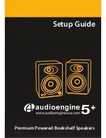 Preview for 1 page of AudioEngine W2 Setup Manual