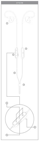 Preview for 3 page of AUDIOFLY AF100W User Manual