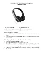 AUDIOLOGY AU-BTHP-100 Instruction Manual preview