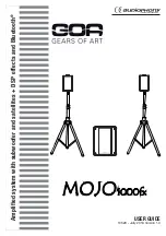 Preview for 1 page of Audiophile Systems COA MOJO1000FX User Manual