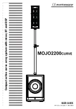 audiophony H11175 User Manual предпросмотр