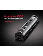 AudioQuest Niagara 1000 Owner'S Manual preview