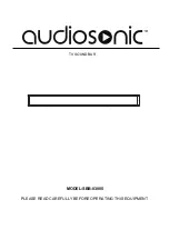 AudioSonic SBB-03005 Manual предпросмотр