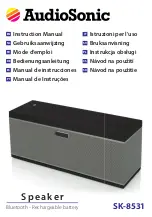 AudioSonic SK-8531 User Manual предпросмотр