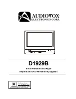 Audiovox D1929B Instruction Manual preview