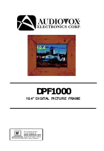 Предварительный просмотр 1 страницы Audiovox DPF1000 Instruction Manual