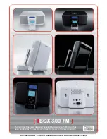 Preview for 2 page of Audiovox IBOX 300 FM Datasheet