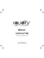 Audity Infinite User Manual preview