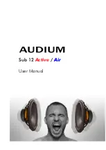 audium Sub 12 Active User Manual preview