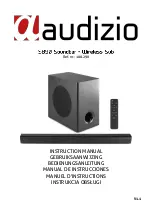 Preview for 1 page of Audizio 100.290 Instruction Manual