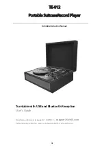 AUDMIC TE-012 Instruction Manual preview