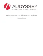 Audyssey ACM1-X User Manual preview