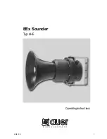 auer EEx Operating Instructions Manual preview