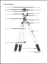 Предварительный просмотр 4 страницы Aukey CP-T06 User Manual