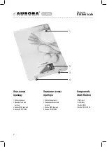 Предварительный просмотр 2 страницы Aurora AU 4301 Manual