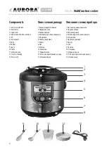 Предварительный просмотр 2 страницы Aurora AU3456 Manual