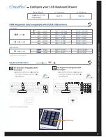 Preview for 3 page of Austin Hughes Electronics Cyberview NS117 Brochure & Specs